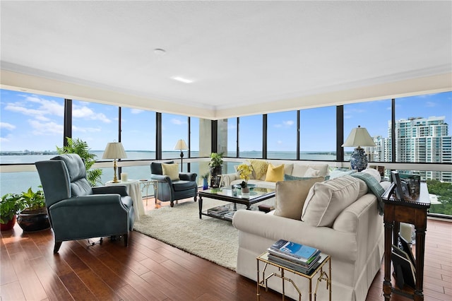 living room with a water view and dark wood-type flooring