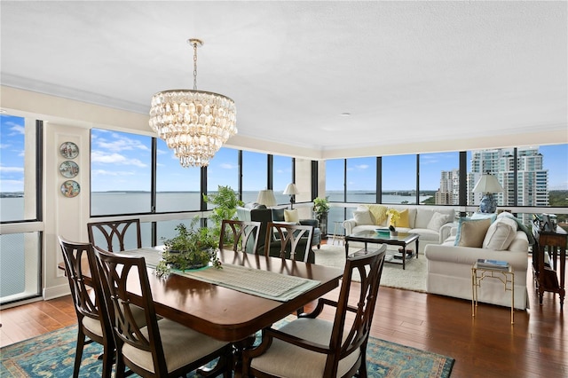 dining area featuring a water view, a healthy amount of sunlight, a chandelier, and dark wood-type flooring