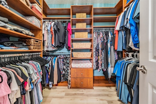 19308 Sunset Bay Dr, Land O Lakes, FL 34638 - walk in closet with wood finished floors
