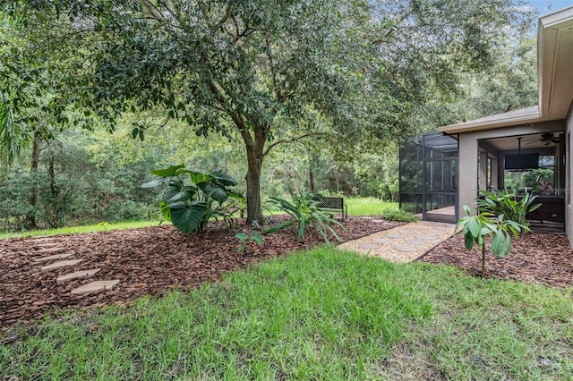 19308 Sunset Bay Dr, Land O Lakes, FL 34638 - view of yard with glass enclosure
