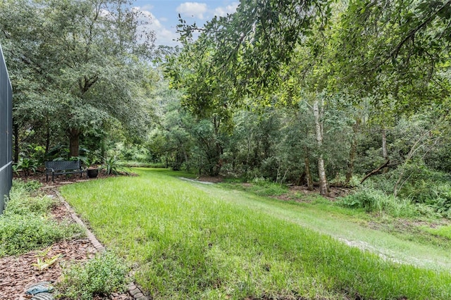 19308 Sunset Bay Dr, Land O Lakes, FL 34638 - view of yard
