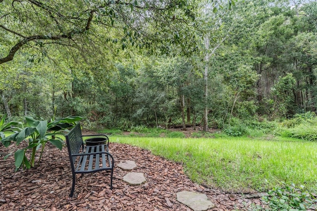 19308 Sunset Bay Dr, Land O Lakes, FL 34638 - view of yard featuring a wooded view