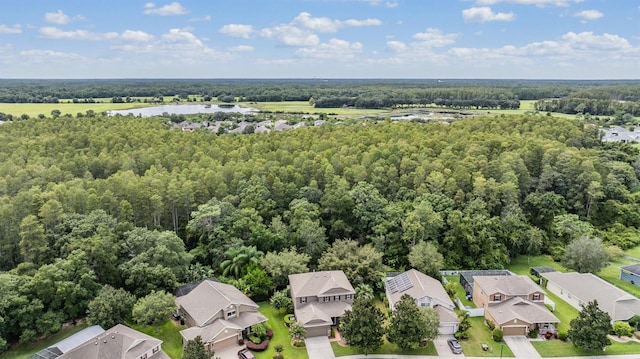 19308 Sunset Bay Dr, Land O Lakes, FL 34638 - aerial perspective of suburban area featuring a heavily wooded area and a nearby body of water