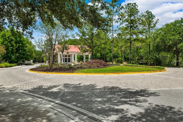 19308 Sunset Bay Dr, Land O Lakes, FL 34638 - view of street featuring curbs