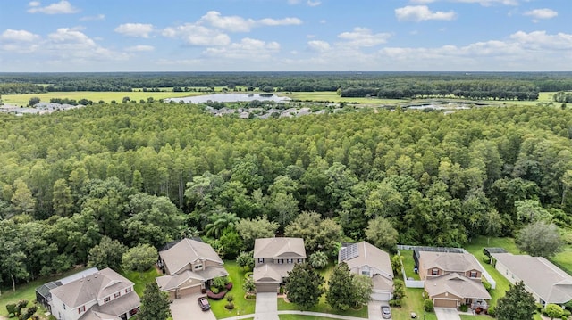 19308 Sunset Bay Dr, Land O Lakes, FL 34638 - aerial view of residential area with a nearby body of water and a heavily wooded area