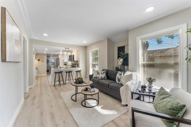 living room with ornamental molding and light hardwood / wood-style flooring