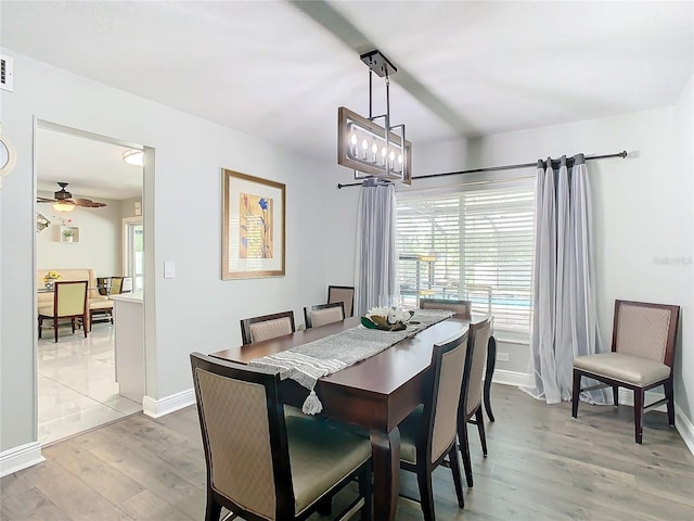 dining area with ceiling fan and light hardwood / wood-style flooring