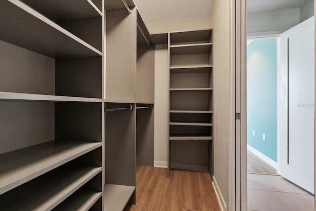 spacious closet with light wood-type flooring