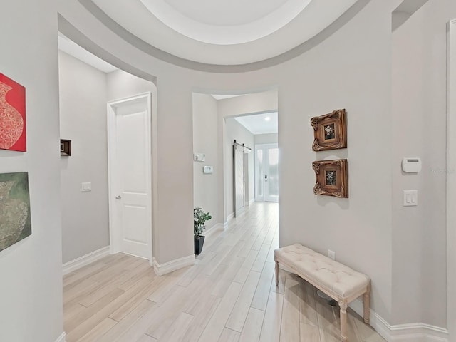 corridor with a barn door and light hardwood / wood-style floors