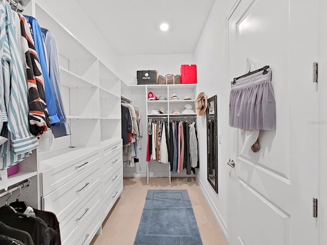 view of spacious closet