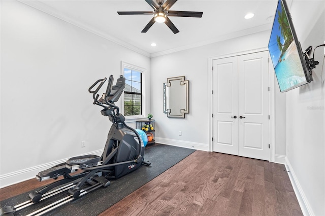 exercise area with crown molding, ceiling fan, and hardwood / wood-style floors