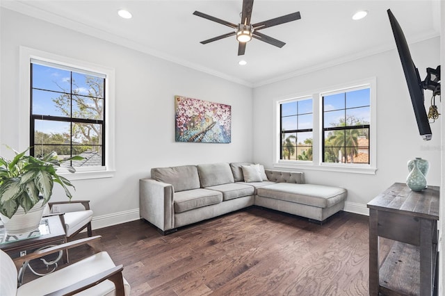 living room featuring crown molding, dark hardwood / wood-style floors, and a wealth of natural light