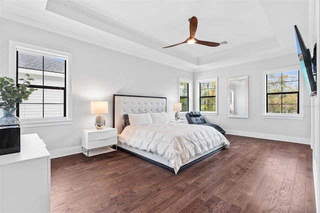 bedroom with a raised ceiling, dark hardwood / wood-style flooring, and multiple windows