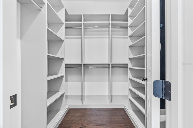 spacious closet featuring dark hardwood / wood-style flooring