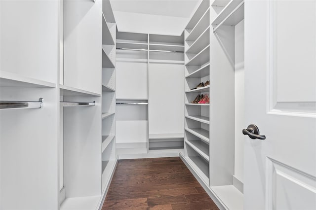 walk in closet with dark hardwood / wood-style flooring