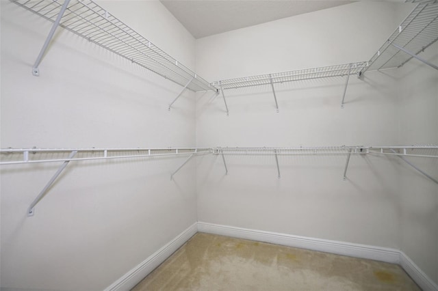 spacious closet with carpet