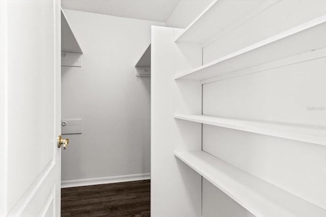 walk in closet featuring dark hardwood / wood-style flooring