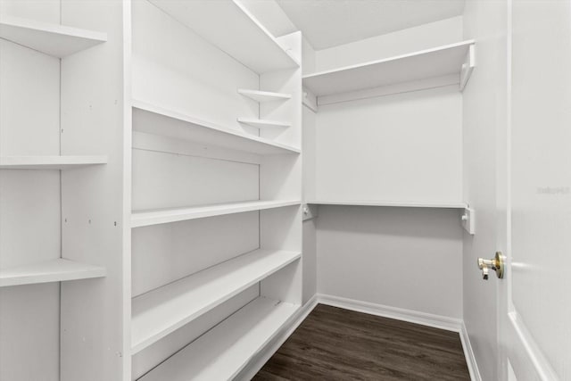 spacious closet with dark hardwood / wood-style flooring