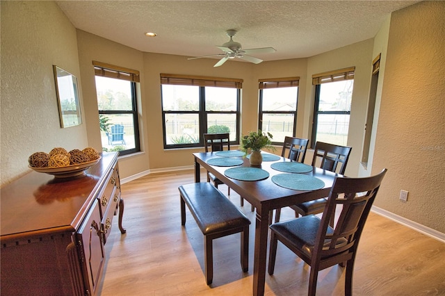 dining room with light hardwood / wood-style floors, a textured ceiling, and a wealth of natural light