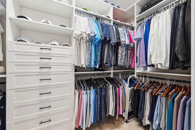 spacious closet featuring carpet flooring