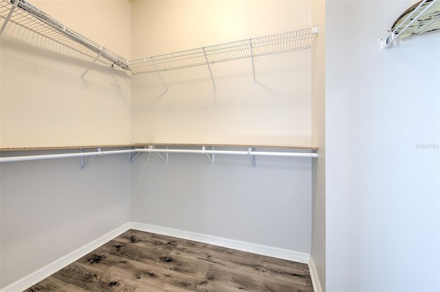 walk in closet featuring hardwood / wood-style floors