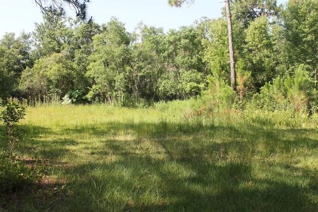 6034 Lakeside Dr, Lutz FL, 33558 land for sale