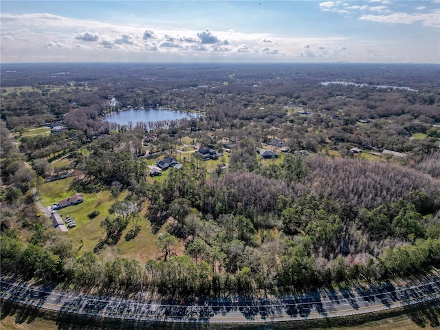 6034 Lakeside Dr, Lutz, FL 33558