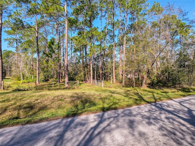 6034 Lakeside Dr, Lutz, FL 33558