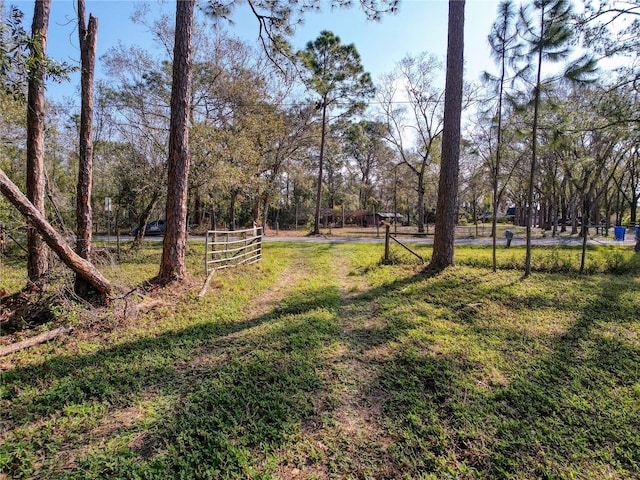 6034 Lakeside Dr, Lutz, FL 33558