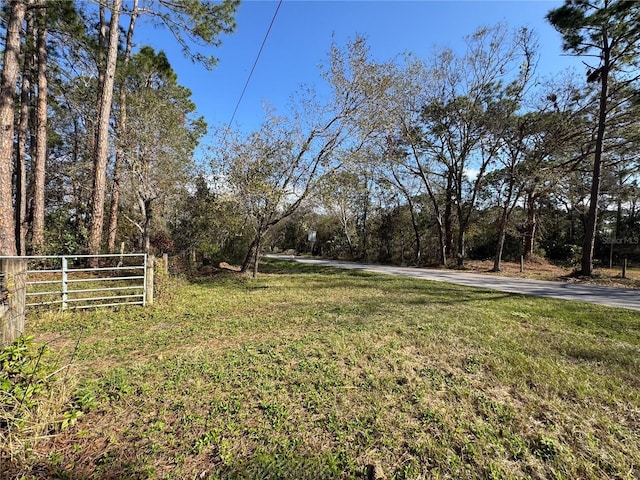 6034 Lakeside Dr, Lutz, FL 33558