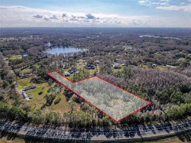 6034 Lakeside Dr, Lutz, FL 33558