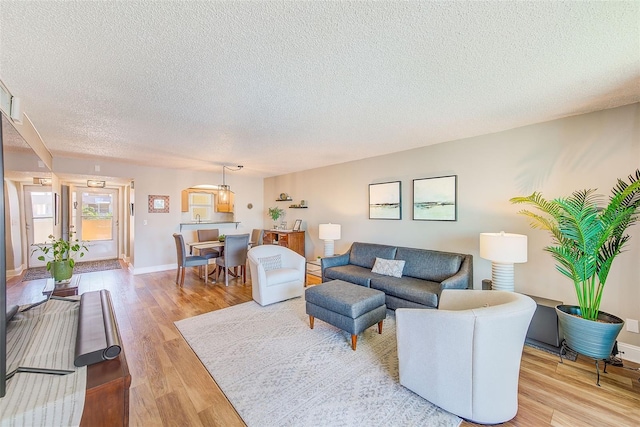 living room with a textured ceiling and light hardwood / wood-style flooring