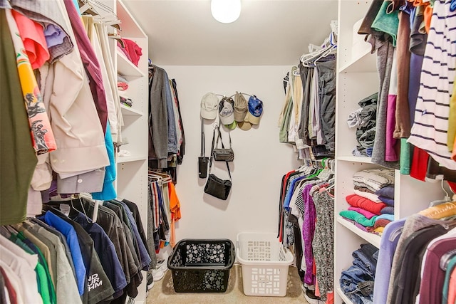 walk in closet with carpet floors