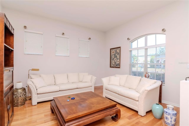 living room featuring light wood-type flooring