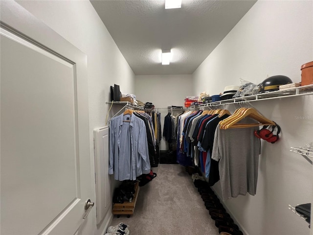 spacious closet with carpet floors