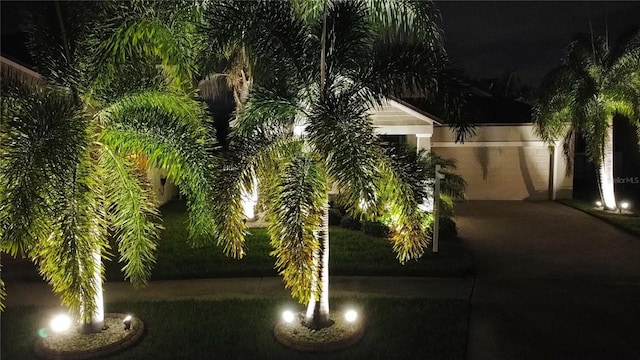 yard at night featuring driveway