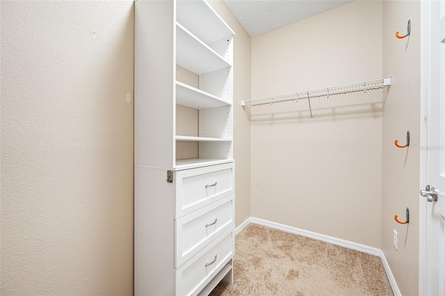 walk in closet with light carpet