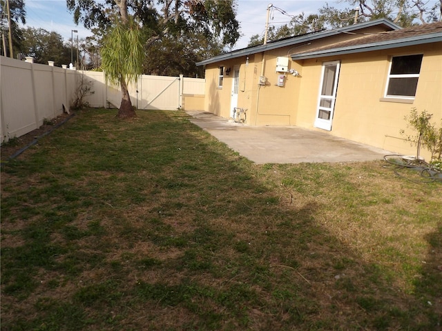 view of yard featuring a patio area