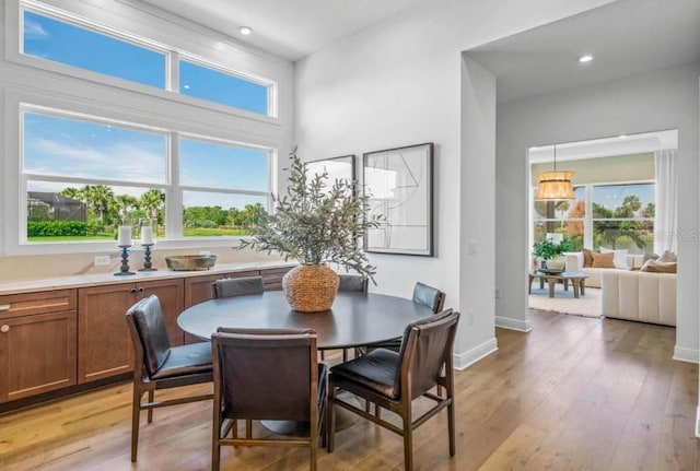 dining area featuring light hardwood / wood-style flooring