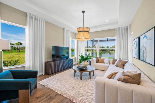 living room featuring a raised ceiling and hardwood / wood-style floors