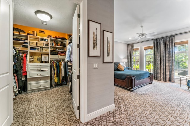 bedroom featuring crown molding, a closet, a textured ceiling, and a spacious closet