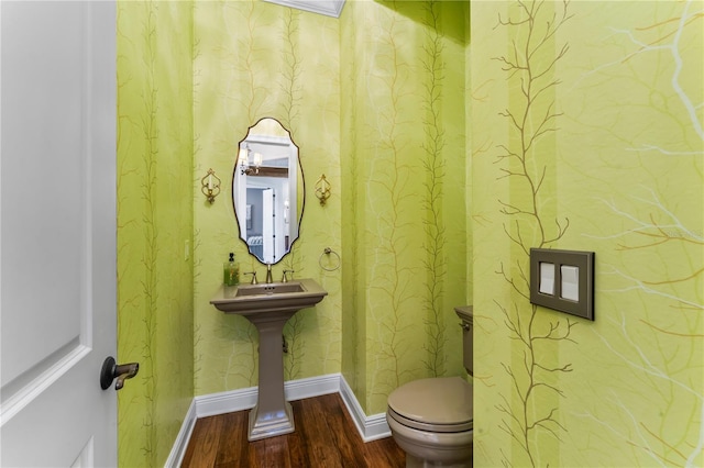 bathroom featuring hardwood / wood-style flooring and toilet