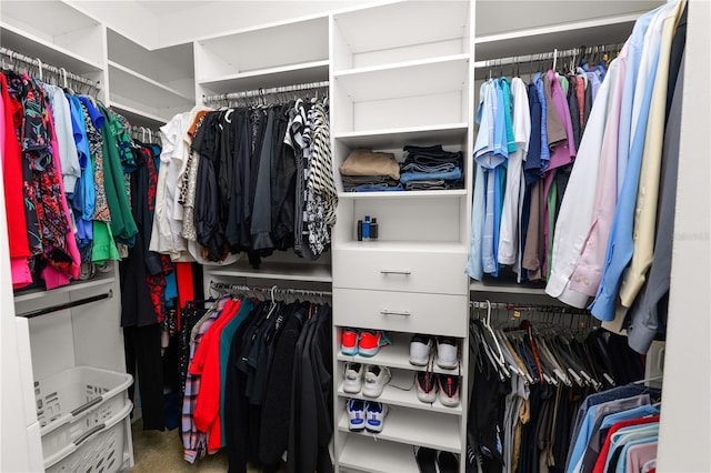 view of spacious closet