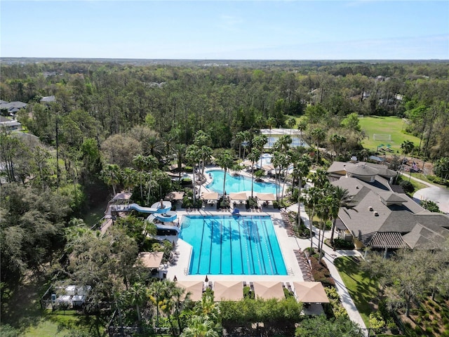 pool featuring a forest view and a patio