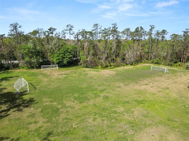 view of yard featuring a wooded view