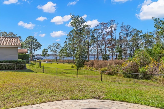 view of yard featuring a patio area