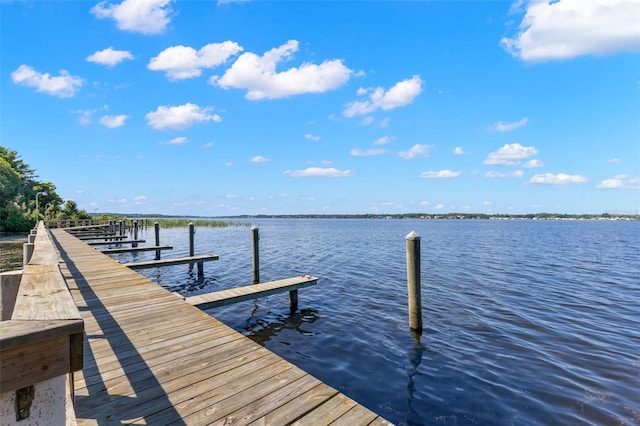 dock area with a water view