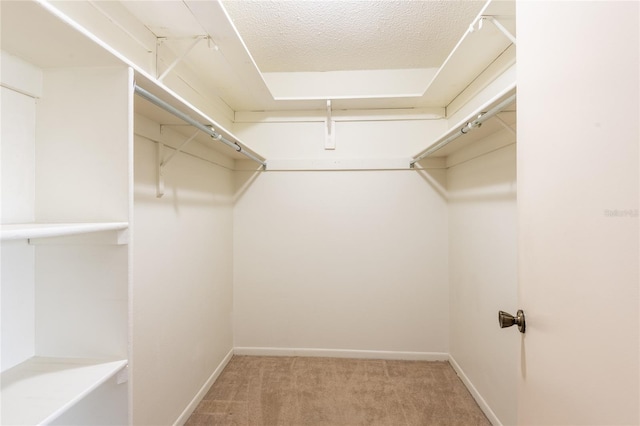 walk in closet with carpet flooring