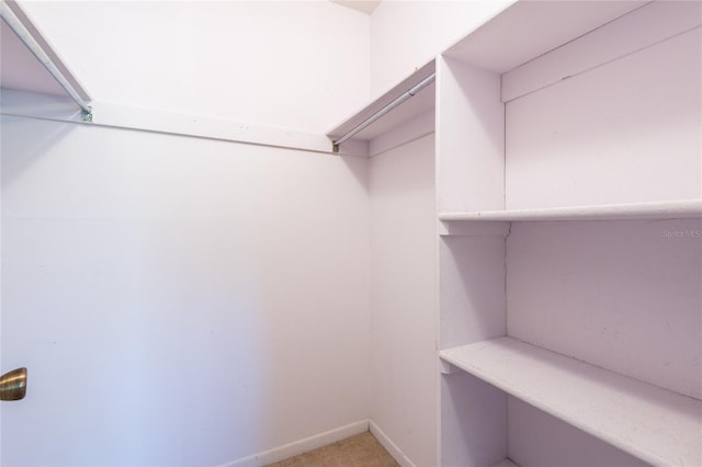 spacious closet featuring light colored carpet