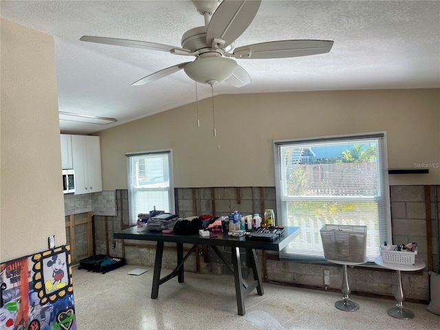 interior space featuring vaulted ceiling, ceiling fan, and a textured ceiling